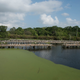 The McIlhenny family built these terraces, known as Bird City, in 1895 to help Snowy Egrets rebound from near extinction.